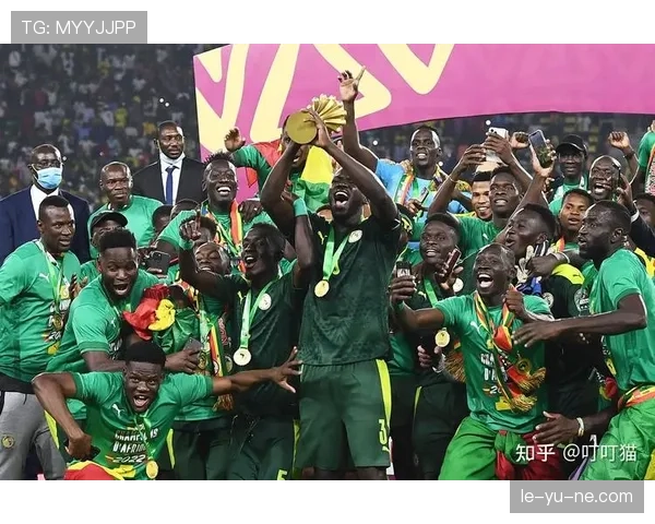 非洲杯名额分配引争议 各国足协呼吁赛制公平调整