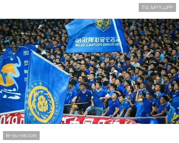 中超半程冠军争夺白热化：强队战术博弈与积分格局深度解析