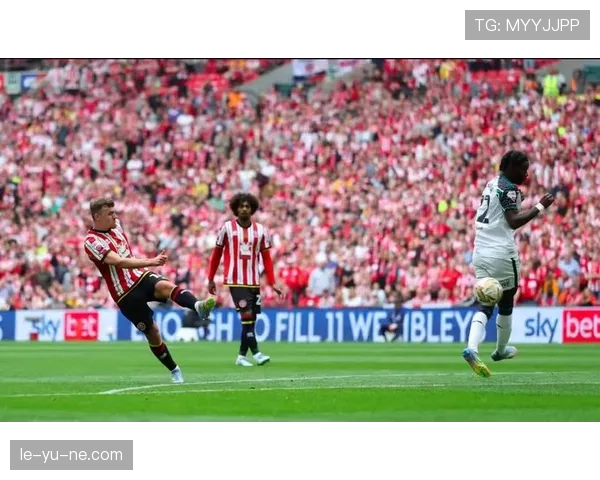 桑德兰新赛季蓄势待发，剑指英冠升级席位