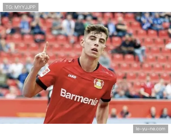 德甲转会谈判持续升温，多支球队竞争新星与老将的动态分析