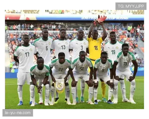 南美杯新贵崭露头角，黑马球队表现稳健，剑指冠军荣誉。