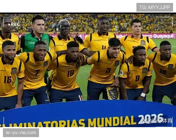 南美杯争议情况最新进展