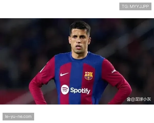 坎塞洛争议事件解析 坎塞洛争议事件解析